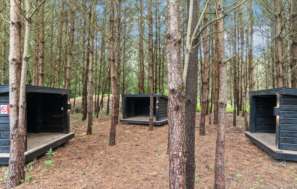 Feriehuse - Fuglslev , Danmark - D13059 18