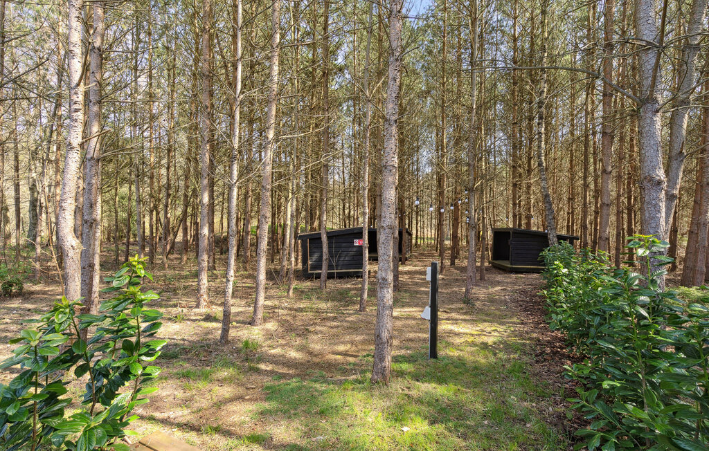 Feriehuse - Fuglslev , Danmark - D13059 19