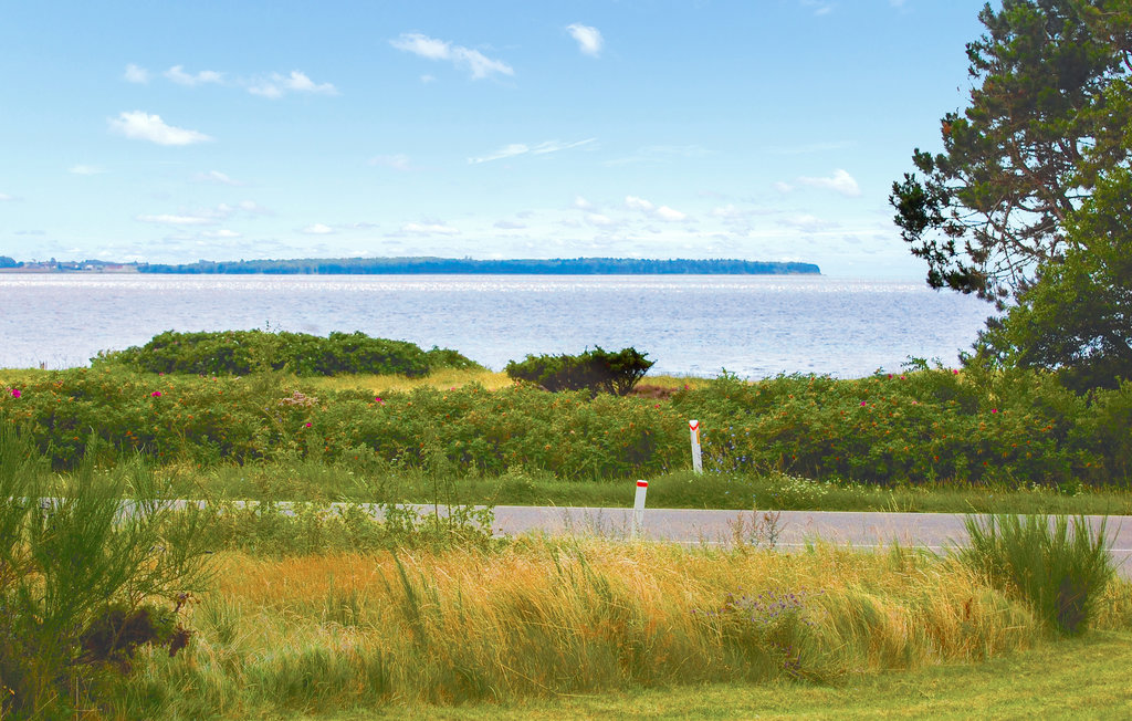 Ferienhaus - Handrup Strand , Dänemark - D15795 2