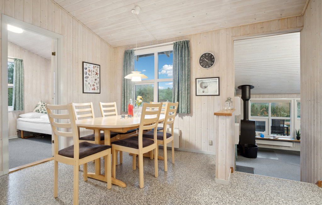 Ferienhaus - Handrup , Dänemark - D15006 5