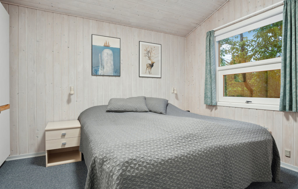 Ferienhaus - Handrup , Dänemark - D15006 15