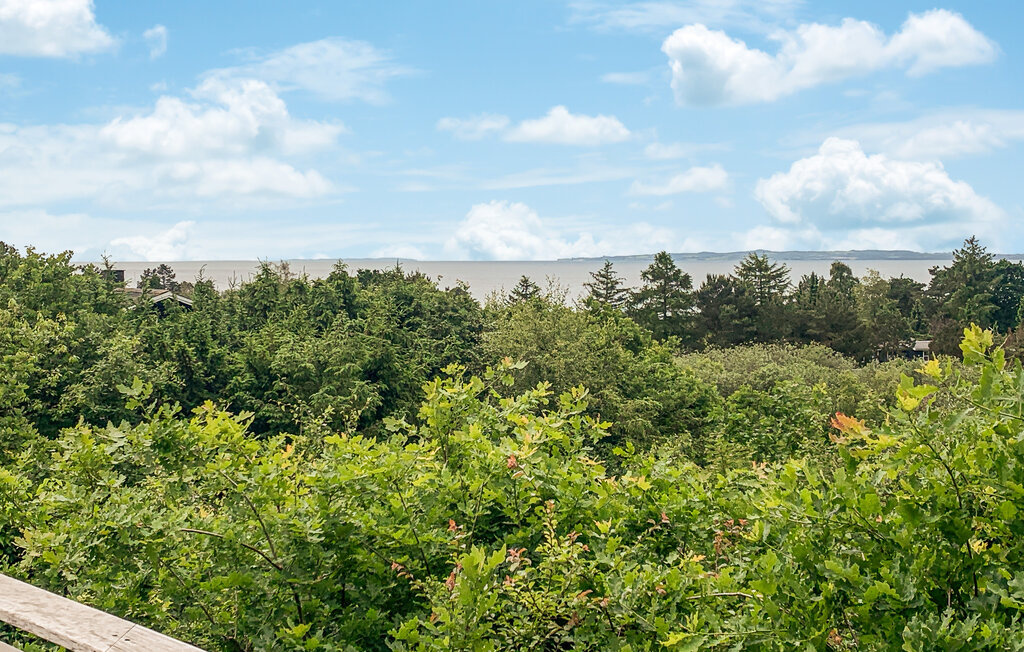 Feriehuse - Handrup Strand , Danmark - D15103 13