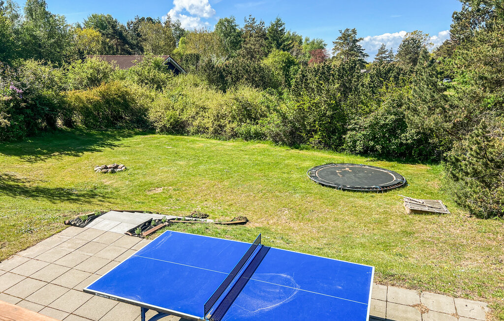 Ferienhaus - Handrup , Dänemark - D15006 12