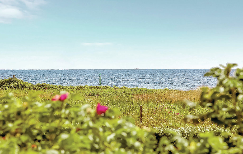 Feriehus - Lyngsbæk Strand , Danmark - D16388 2