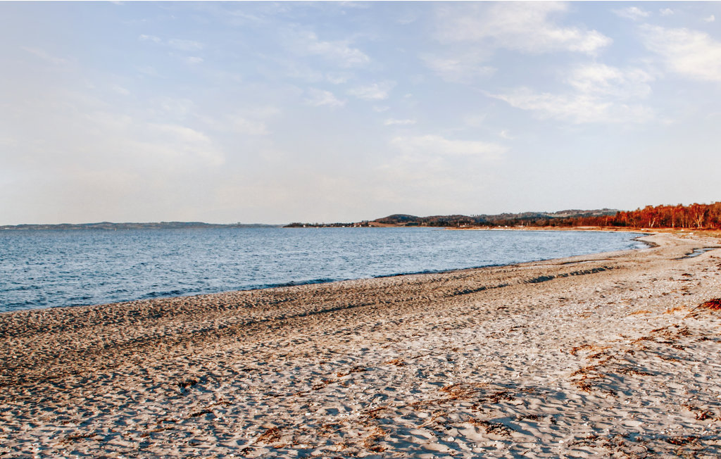 Feriehus - Lyngsbæk Strand , Danmark - D16118 28