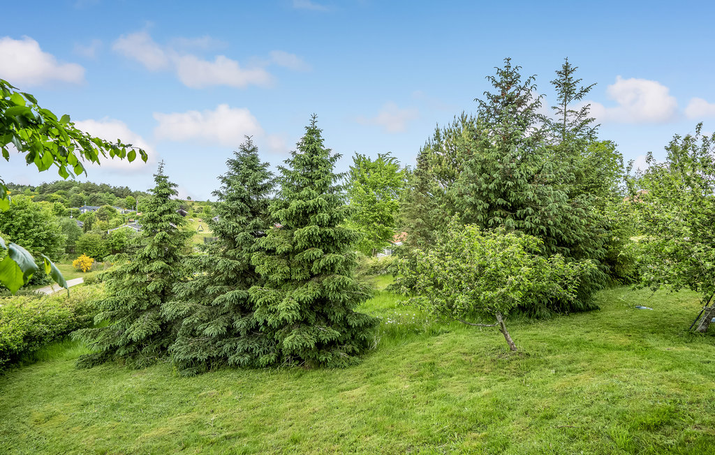 Feriehuse - Lyngsbæk Strand , Danmark - D16138 17