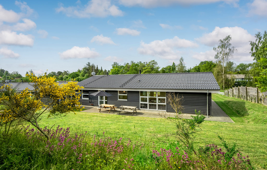 Feriehuse - Lyngsbæk Strand , Danmark - D16066 11