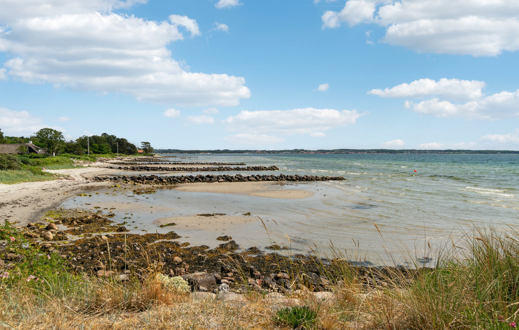 Feriehus - Lyngsbæk Strand , Danmark - D16388 28