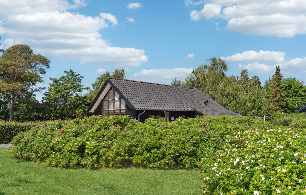 Feriehus - Lyngsbæk Strand , Danmark - D16388 11