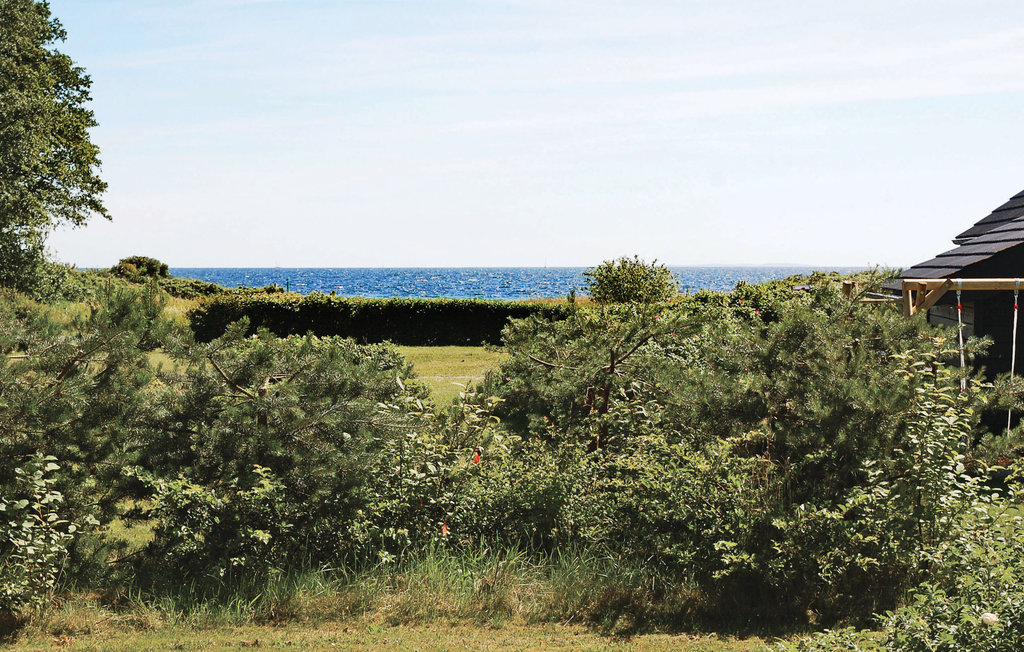 Ferienhaus - Lyngsbæk Strand , Dänemark - D16588 2