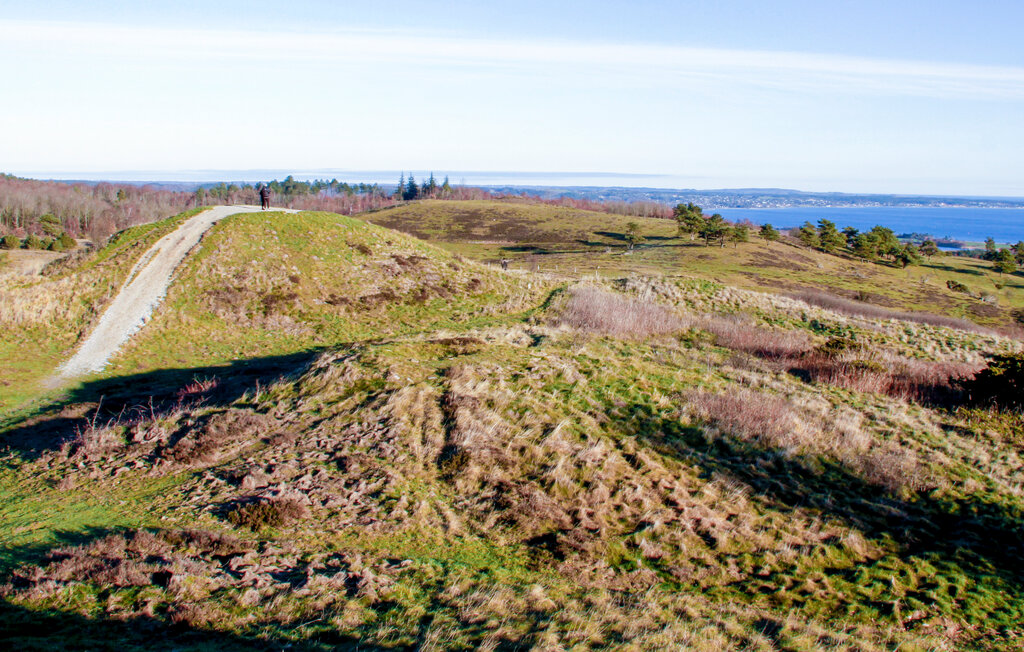 Ferienhaus - Femmøller , Dänemark - D20013 30