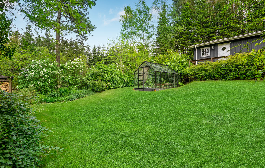 Ferienhaus - Femmøller Bakker , Dänemark - D20005 19