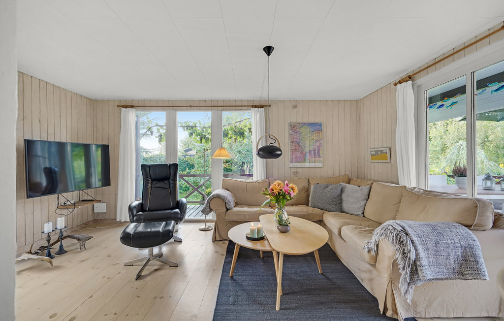 Ferienhaus - Brunshuse Strand , Dänemark - D2016 3