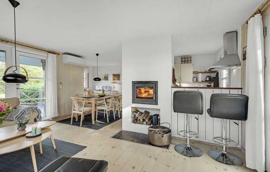 Ferienhaus - Brunshuse Strand , Dänemark - D2016 22