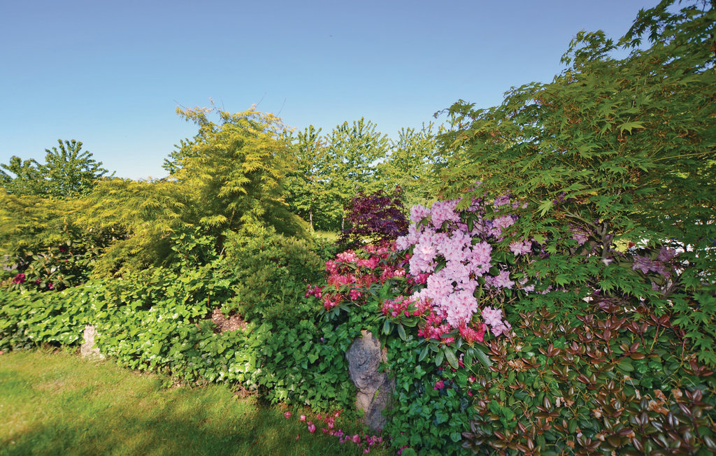 Ferienhaus - Brunshuse Strand , Dänemark - D2016 28