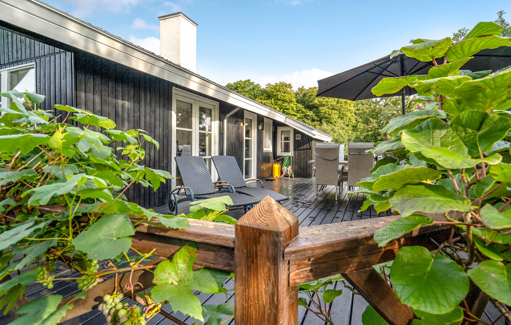 Ferienhaus - Brunshuse Strand , Dänemark - D2016 15