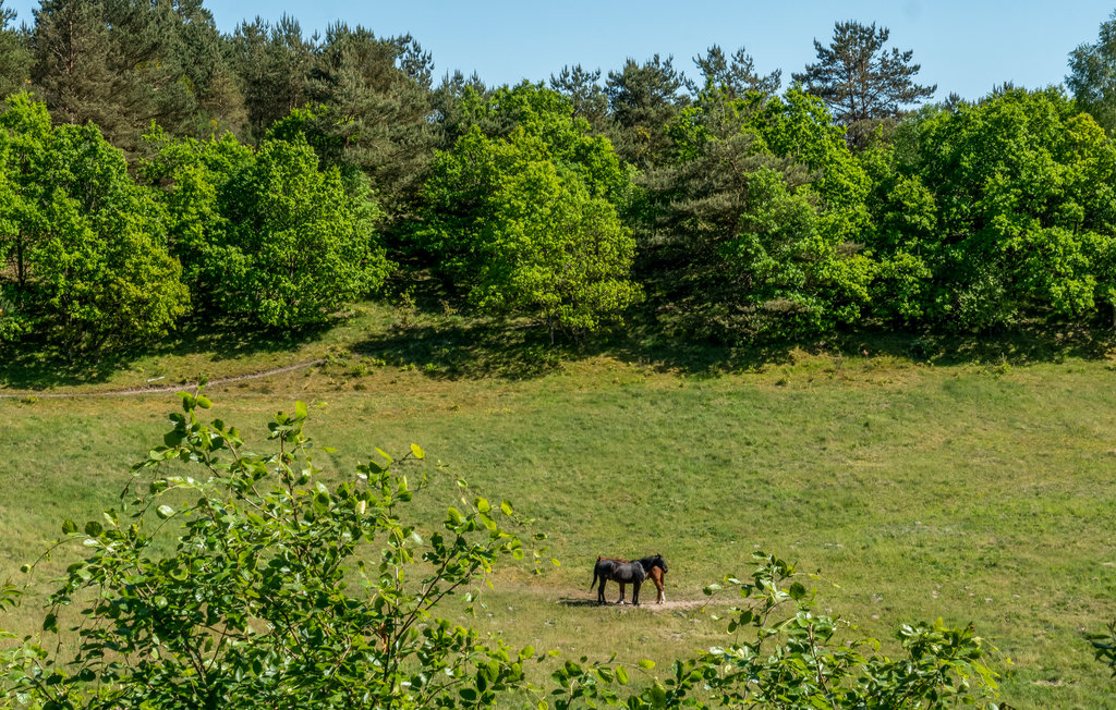 Feriehus - Femmøller Bakker , Danmark - D20003 16