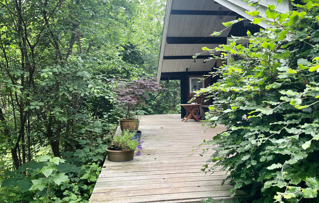 Ferienhaus - Femøller Bakker , Dänemark - D20012 2