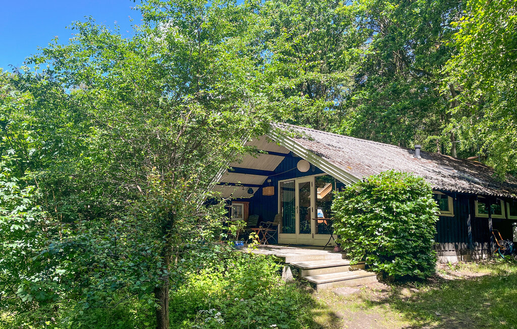 Ferienhaus - Femøller Bakker , Dänemark - D20012 1