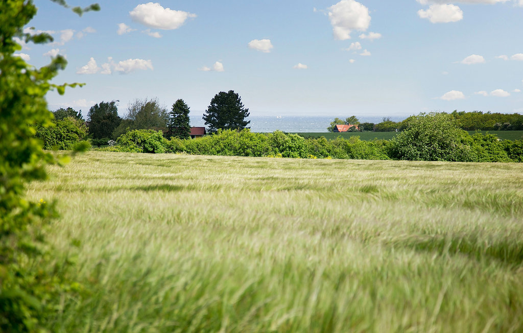Ferienhaus - Skåstrup Strand , Dänemark - D2153 20