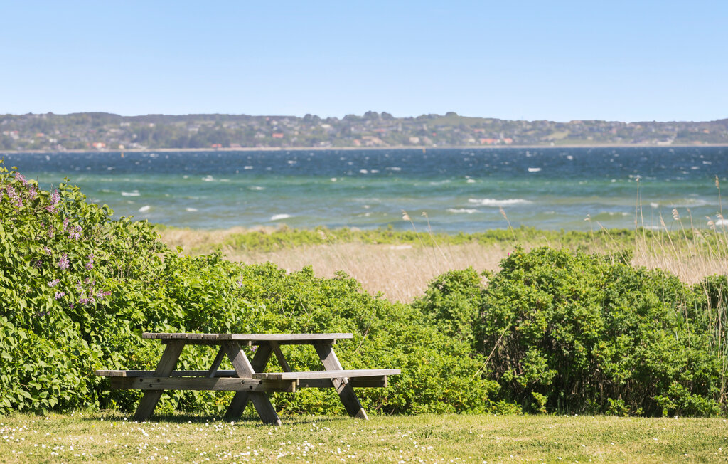 Feriehus - Bogens Strand , Danmark - D21495 27