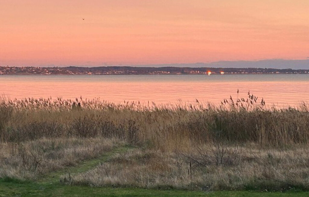Feriehus - Bogens Strand , Danmark - D21521 15