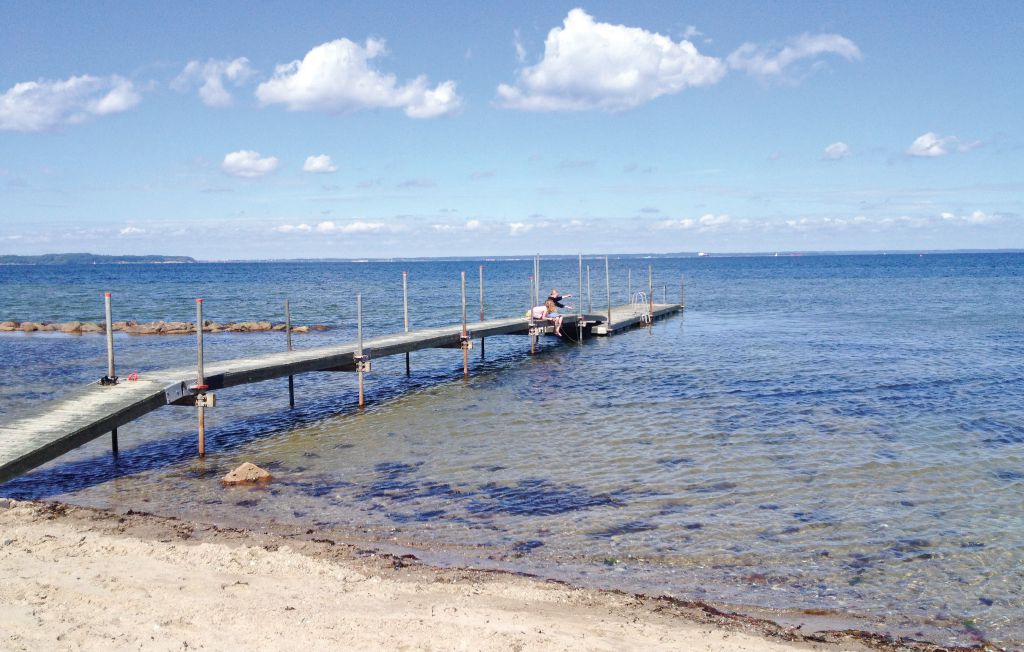 Ferienhaus - Bro Strand , Dänemark - D2283 30