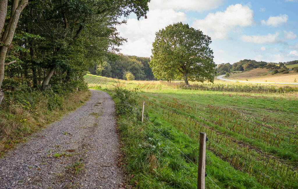 Ferienhaus - Fuglsø Strand , Dänemark - D23004 23