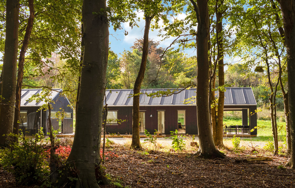 Ferienhaus - Fuglsø Strand , Dänemark - D23004 12