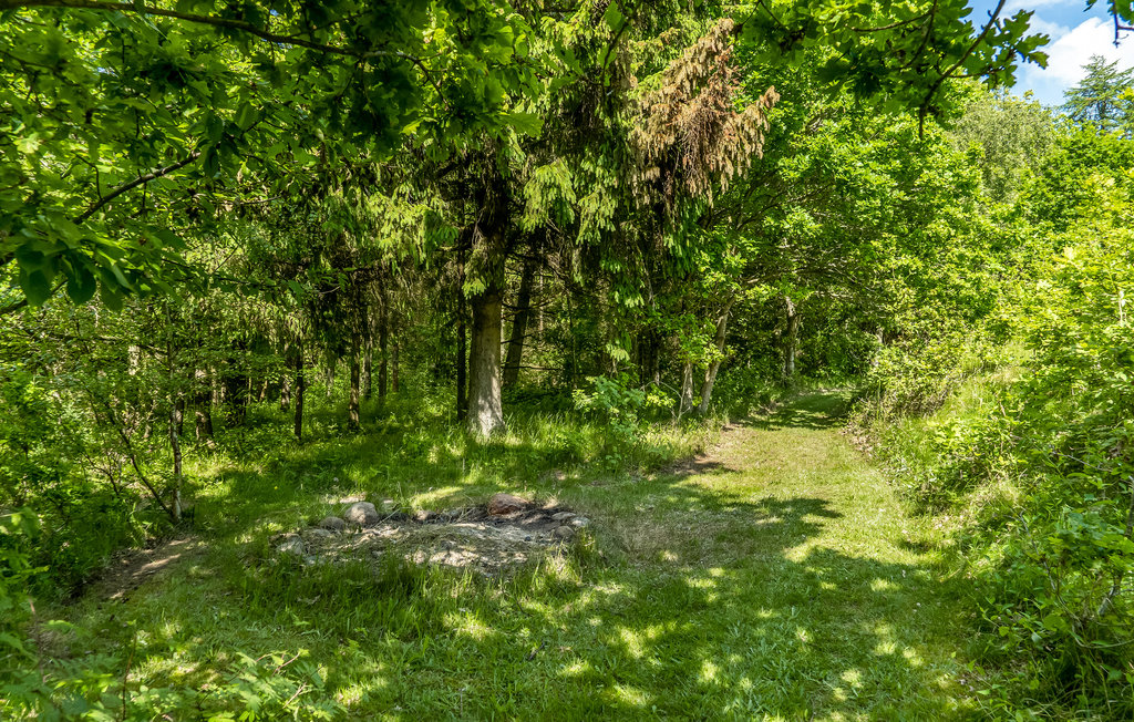 Semesterhus - Fuglsø Strand , Danmark - D25008 14