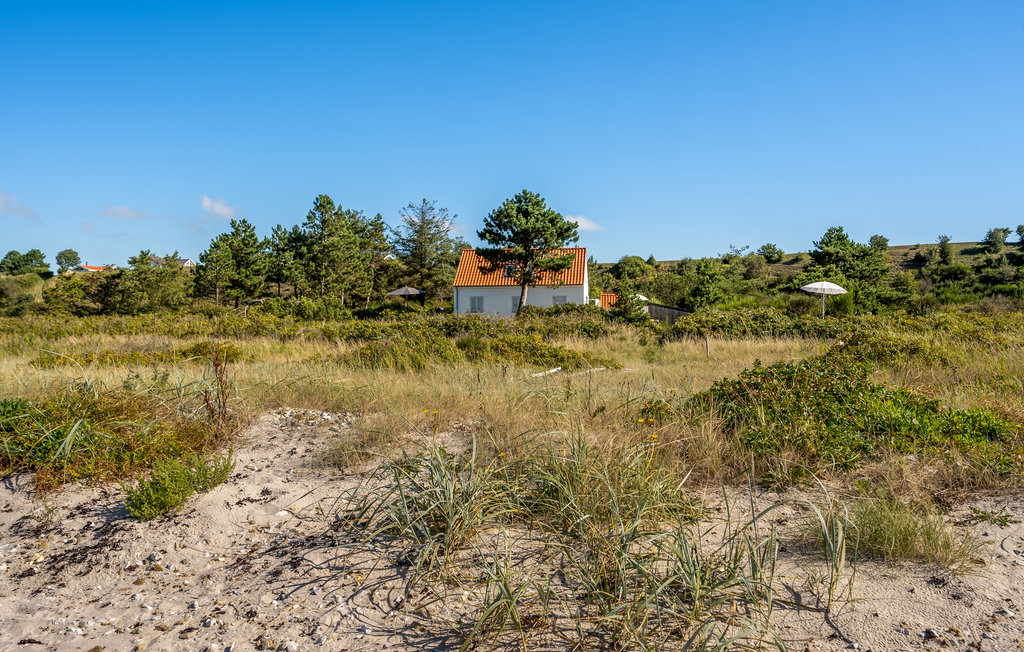 Ferienhaus - Begtrup Vig , Dänemark - D25093 9