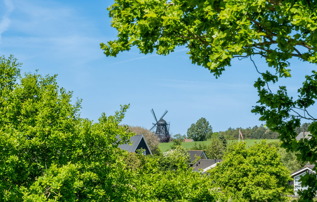 Feriehuse - Fuglsø Strand , Danmark - D25007 18