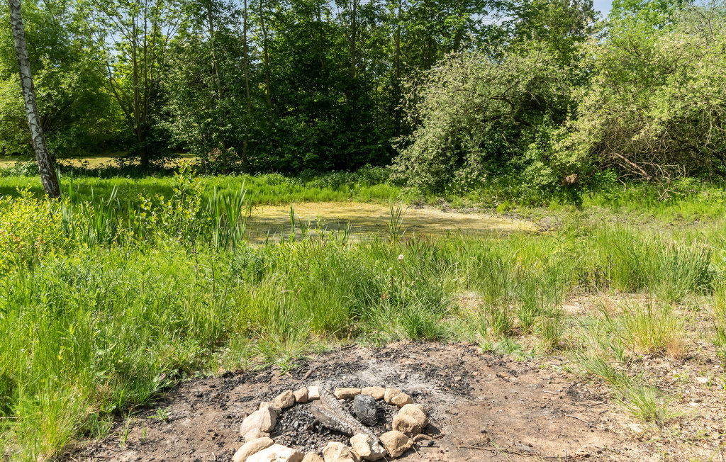 Feriehus - Begtrup Vig Strand , Danmark - D25012 13