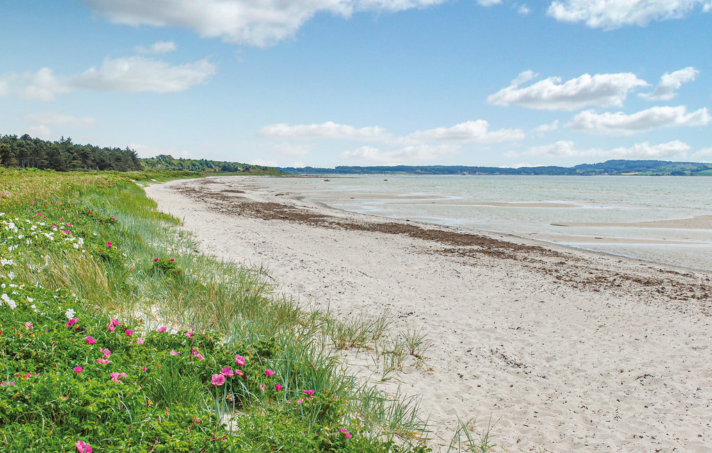 Feriehus - Begtrup Vig Strand , Danmark - D25485 26