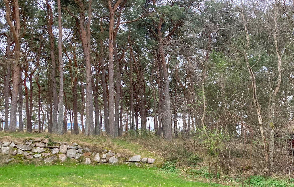 Feriehuse - Begtrup Vig Strand , Danmark - D25485 17