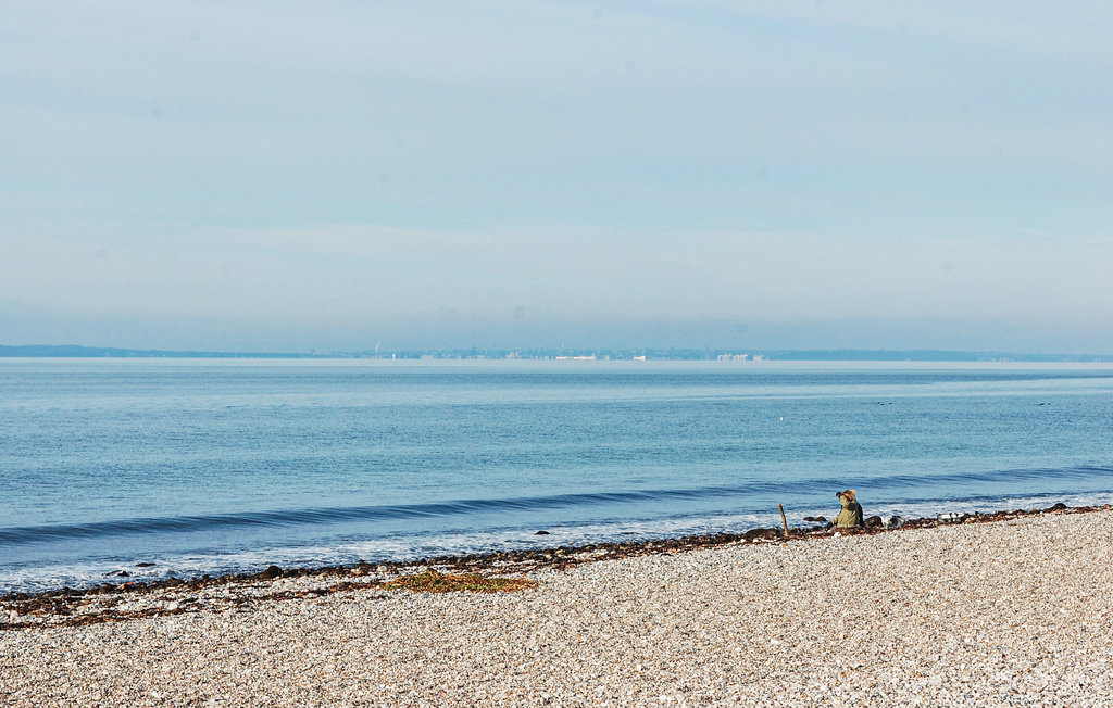 Ferienhaus - Stødov Bakker/Helgenæs , Dänemark - D27005 30