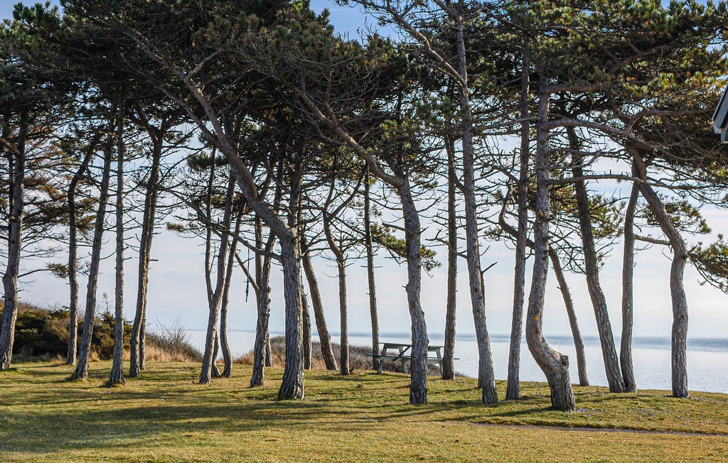Ferienhaus - Stødov Bakker/Helgenæs , Dänemark - D27005 33