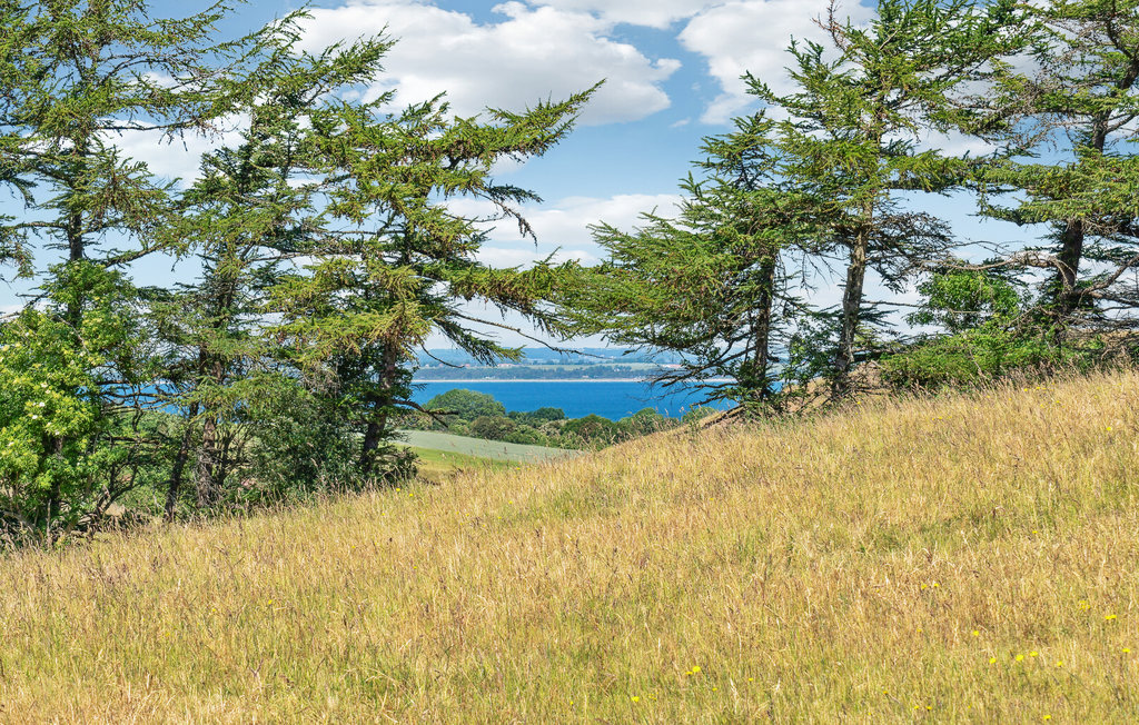 Ferienhaus - Sletterhage Strand , Dänemark - D27015 9