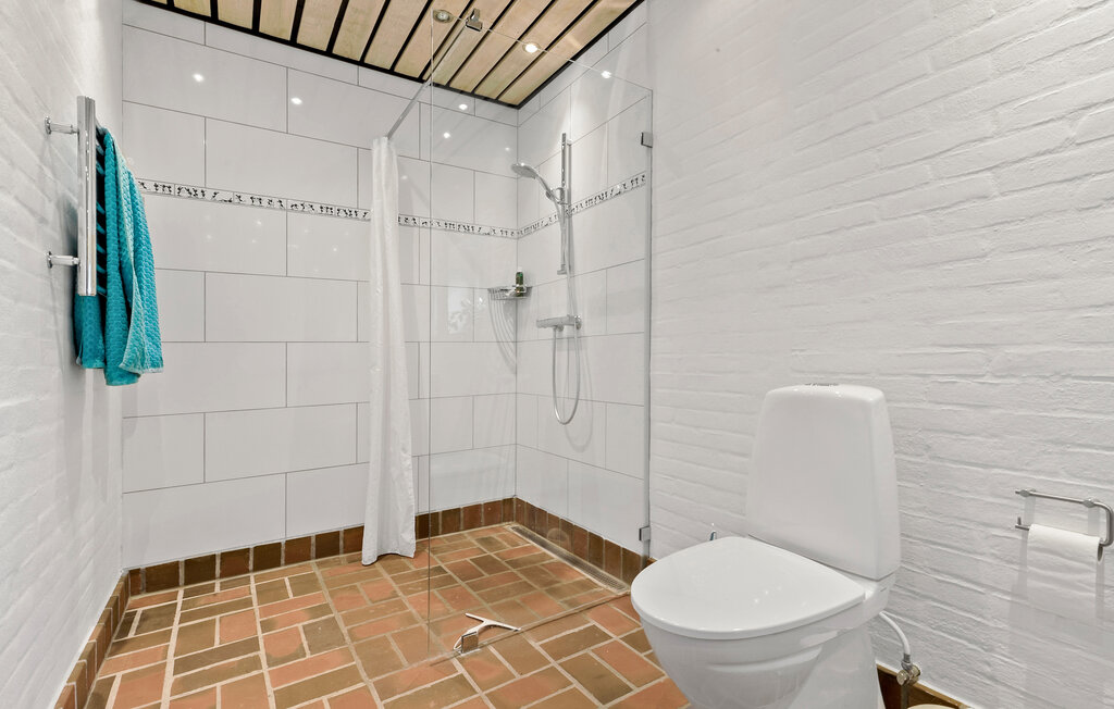 Ferienhaus - Helgenæs , Dänemark - D29032 28