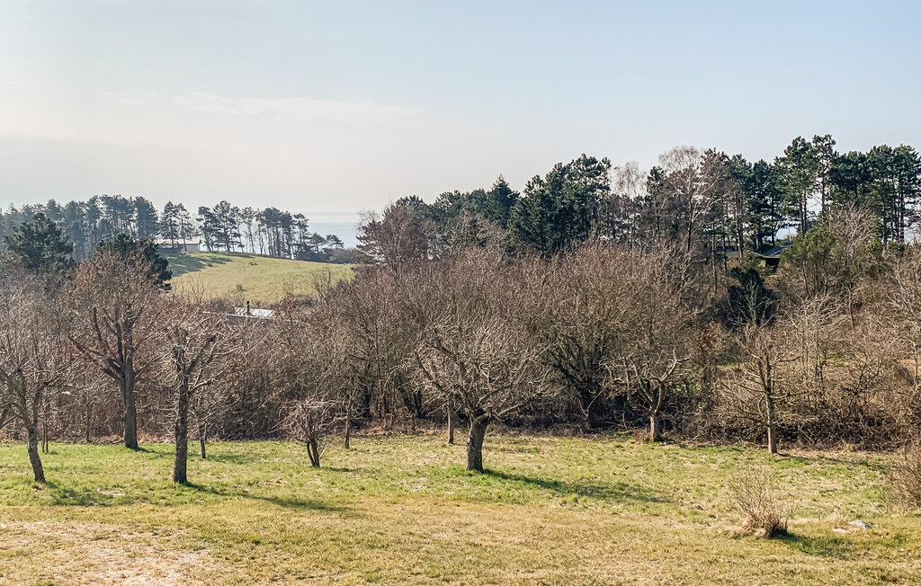 Ferienhaus - Helgenæs , Dänemark - D29032 13