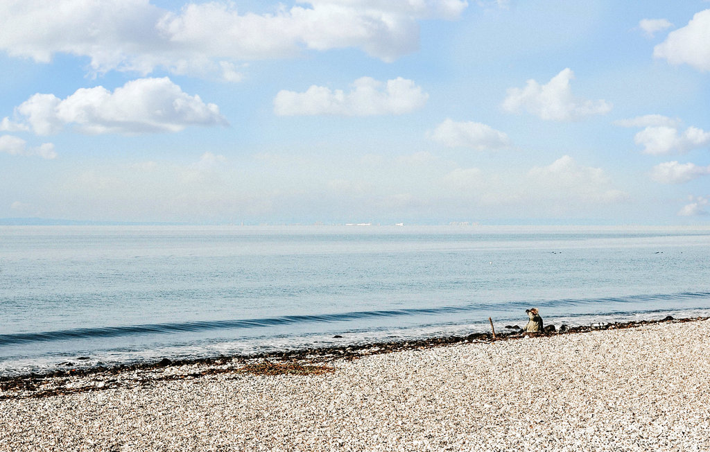 Feriehuse - Fejrup Strand , Danmark - D30026 19
