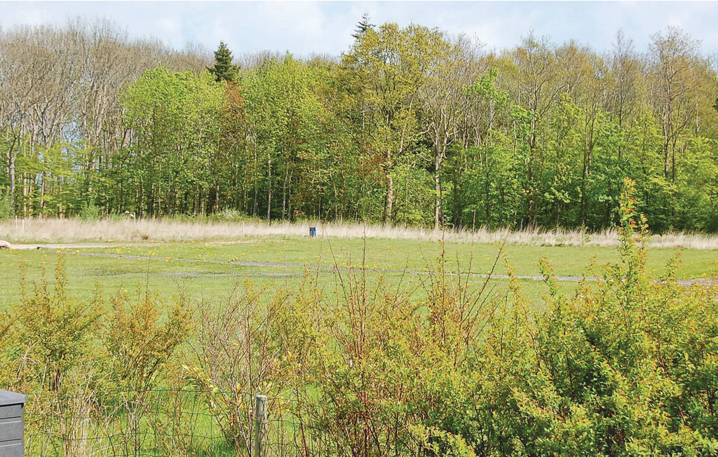 Ferienhaus - Pøt Strand , Dänemark - D3021 18