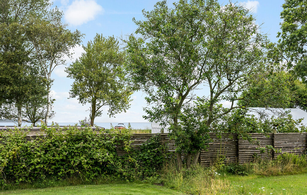 Ferienhaus - Bjørnsknude Strand , Dänemark - D3072 2