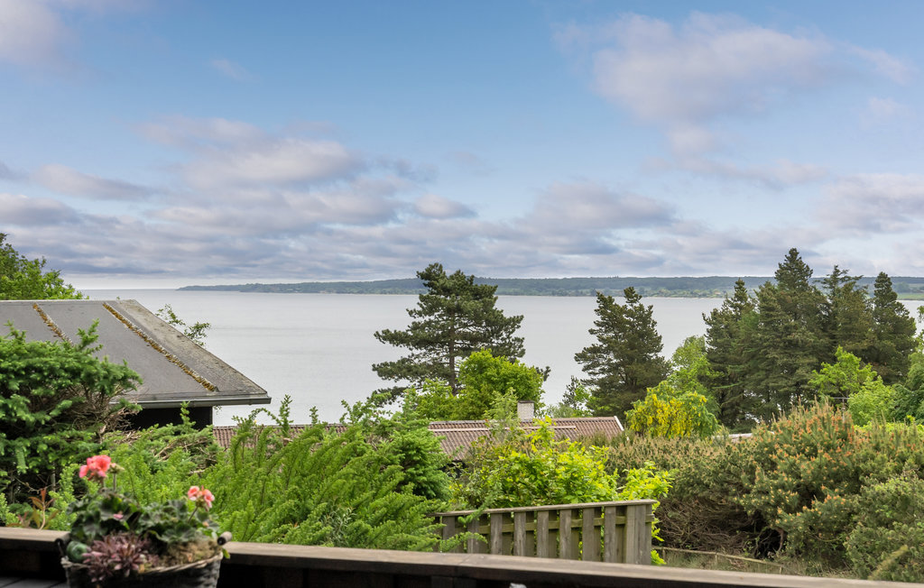 Ferienhaus - Hvidbjerg strand , Dänemark - D3268 9