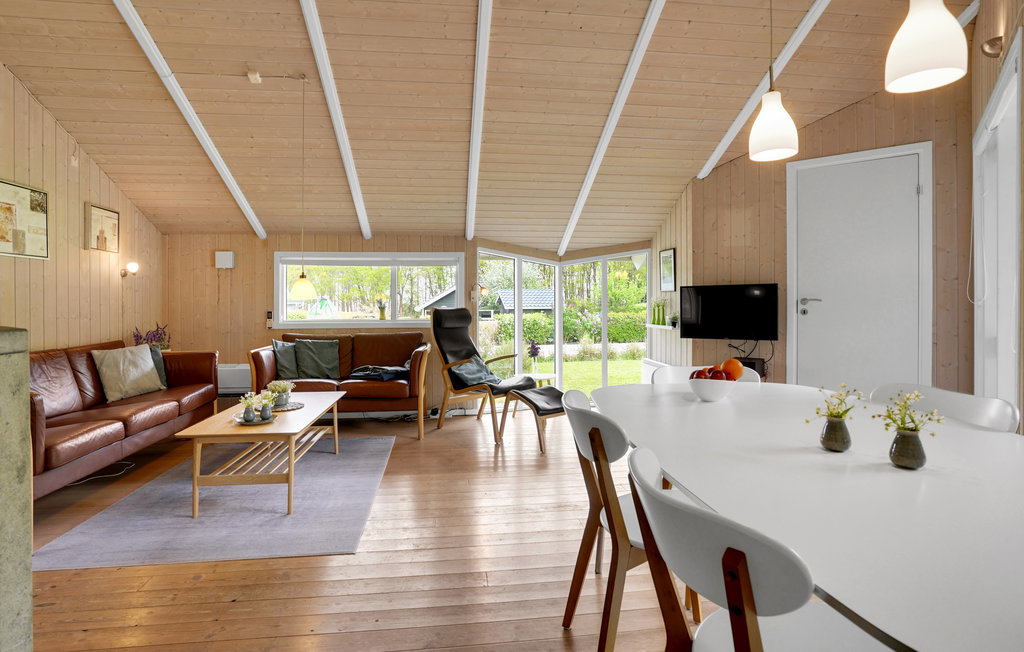 Ferienhaus - Pøt Strand , Dänemark - D3288 3