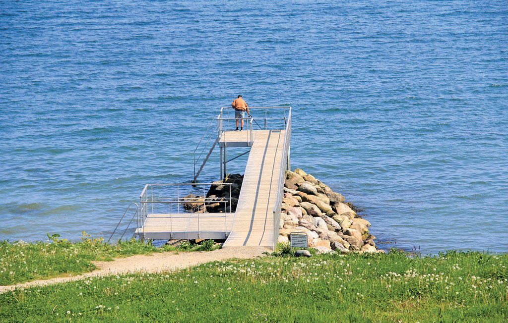 Ferienhaus - Pøt Strand , Dänemark - D3288 29