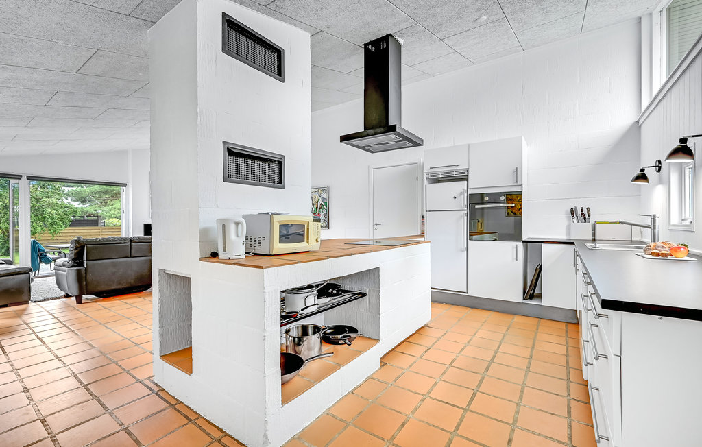 Ferienhaus - Hvidbjerg Strand , Dänemark - D3265 7