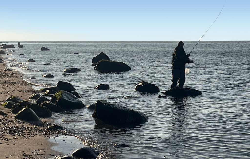 Feriehuse - Skødshoved Strand , Danmark - D34033 21