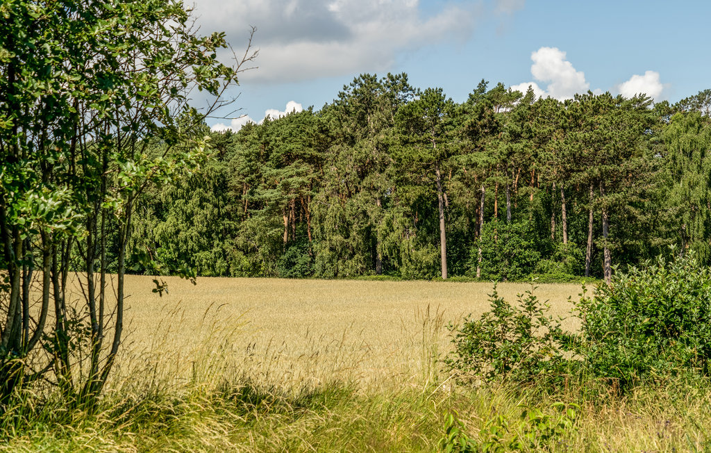 Feriehuse - Skødshoved Strand , Danmark - D36001 20