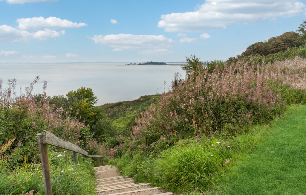 Feriehus - Skødshoved , Danmark - D36041 14